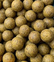 Krmné Aktiv Boilies Mango Squid 5kg 24mm