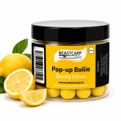 Pop Up Boilie - Divoký Citrus