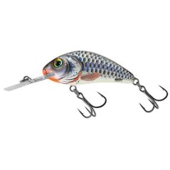 SALMO HORNET Grey Shiner  Plovoucí  WOBLER 4cm