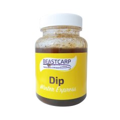 Dip - Winter Express