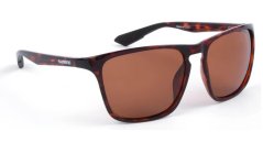 Shimano Eyewear Ultegra Tortoiseshell & Copper