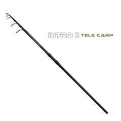 MIKADO Prút Intro Tele Carp II