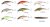 Wobler Shimano Cardiff Refrain 50HS