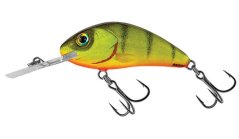 Salmo Wobler Rattlin Hornet Floating Hot Perch-6,5 cm 20 g
