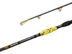 Delphin HAZARD BxG 2 diely
