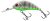 Salmo Wobler Rattlin Hornet Floating Ghost Perch 3.5cm 3.1g