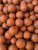 Krmné Aktiv Boilies Monstercrab 5kg 24mm