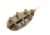 Method Feeder Extra Carp Krmítko In-Line