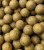 Krmné Aktiv Boilies Mango Squid 5kg 24mm