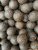 Krmné Aktiv Boilies Liver 5kg 24mm